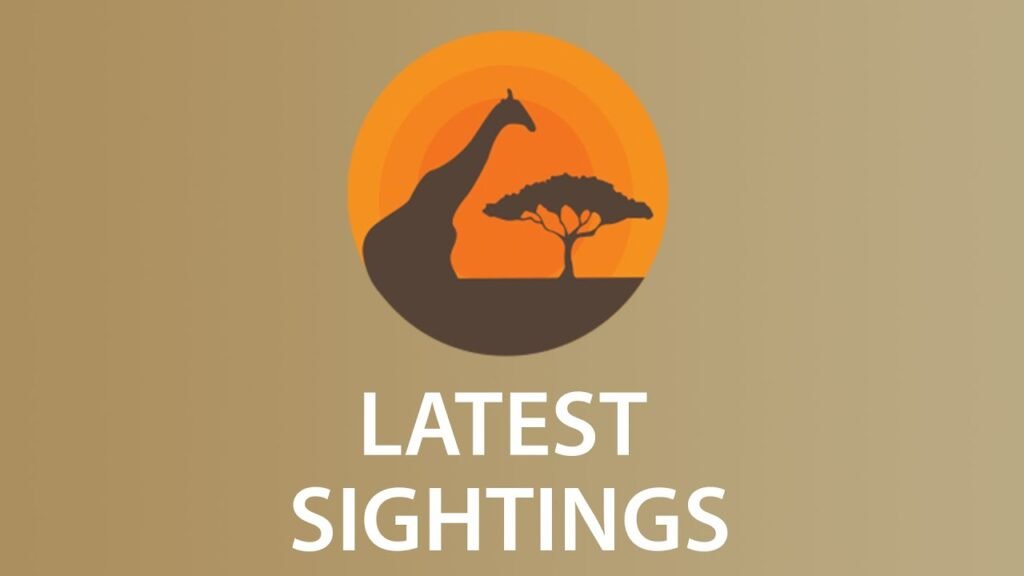 Latest Sightings - Watch the Latest, Exclusive and Most Incredible Wildlife Footage
