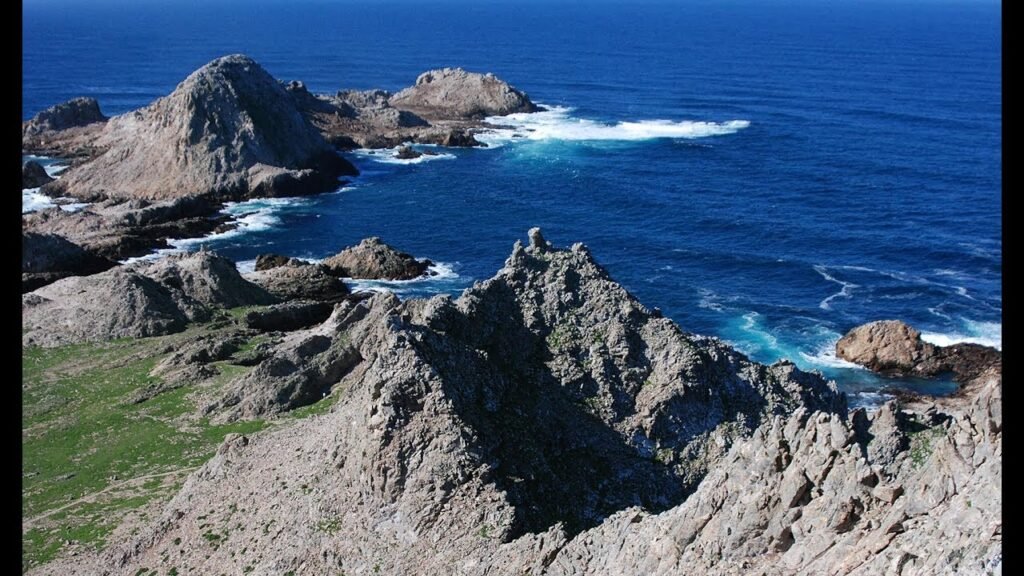 Farallon Islands Live Web Cam | California Academy of Sciences